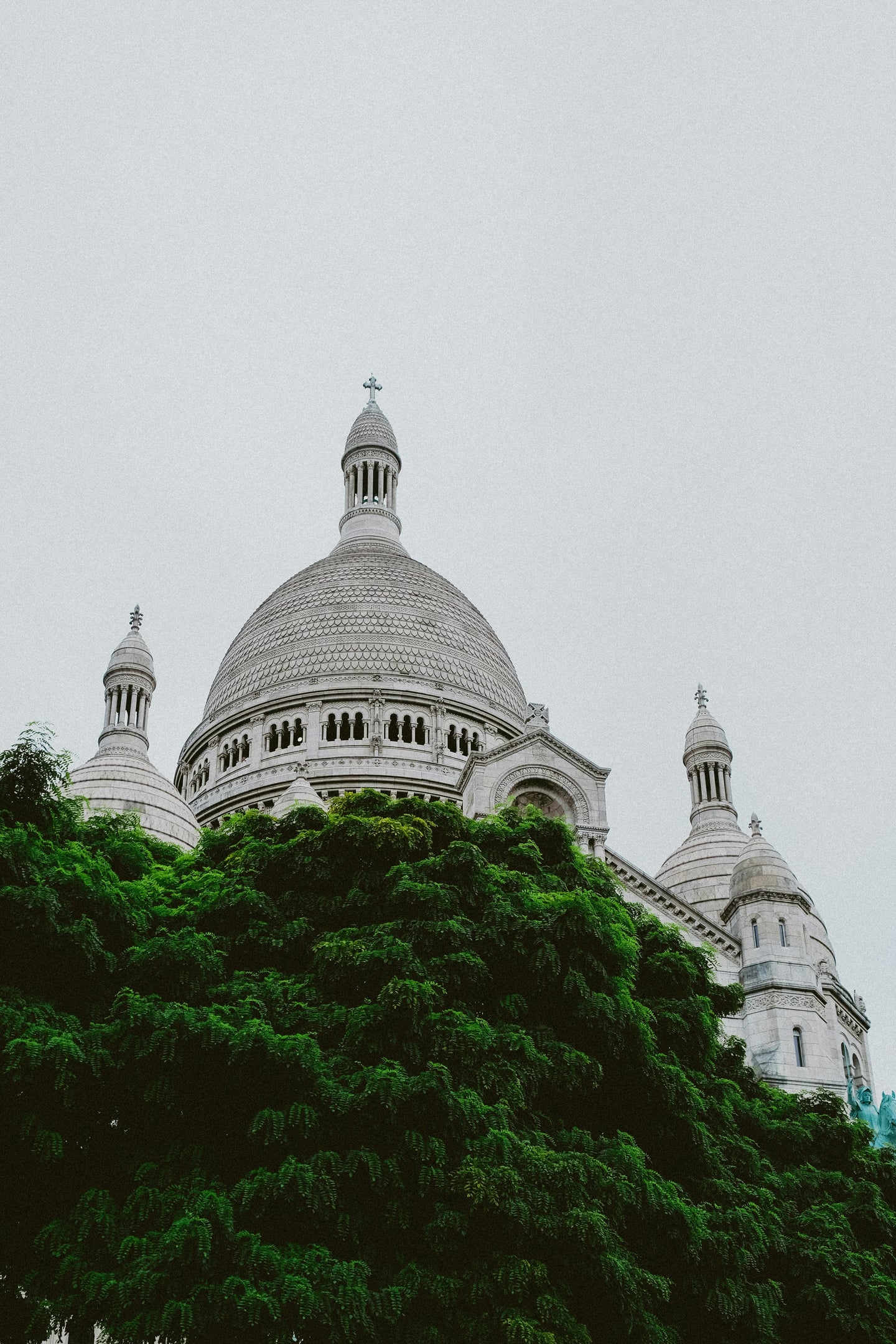 파리 사크레 쾨르 대성당, 푸른 나무들 사이로 솟아오른 하얀 돔과 정교한 석조 건축물이 조화를 이루는 몽마르트르의 상징적인 풍경입니다.