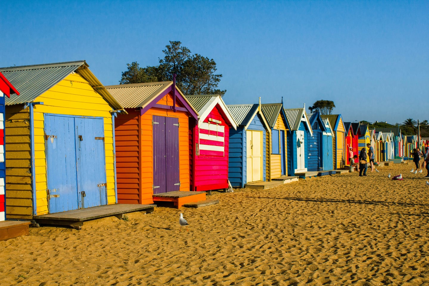 멜버른 브라이턴 비치, 푸른 하늘 아래 모래사장을 따라 일렬로 늘어선 화려하고 알록달록한 색상의 비치 박스들.