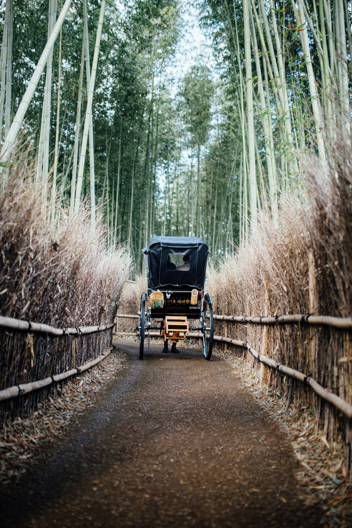교토 아라시야마 인력거, 울창한 대나무 숲길 사이로 고즈넉하게 지나가는 전통 인력거의 뒷모습과 평화로운 풍경입니다.