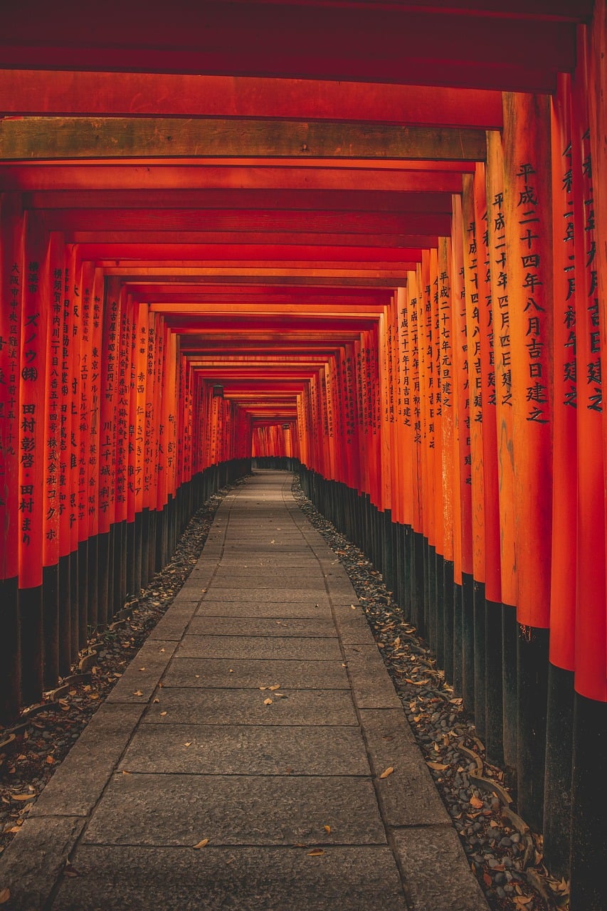 교토 후시미이나리 신사, 붉은 도리이가 촘촘하게 늘어선 신비로운 터널 사이로 이어지는 고요한 돌길 산책로의 전경입니다.