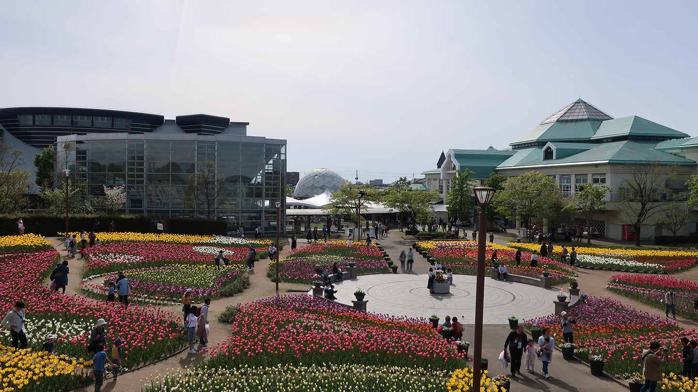 니가타 니가타 후루사토무라, 화려한 튤립 꽃밭이 펼쳐진 정원과 현대적인 박물관 건물이 어우러진 화창한 봄날의 전경입니다.
