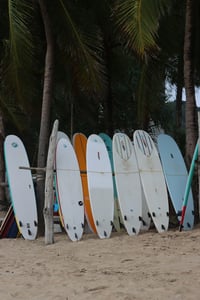 푸켓 카론 비치, 해변 야자수 그늘 아래 줄지어 세워진 알록달록한 서프보드들이 서핑의 활기찬 분위기를 전달합니다.