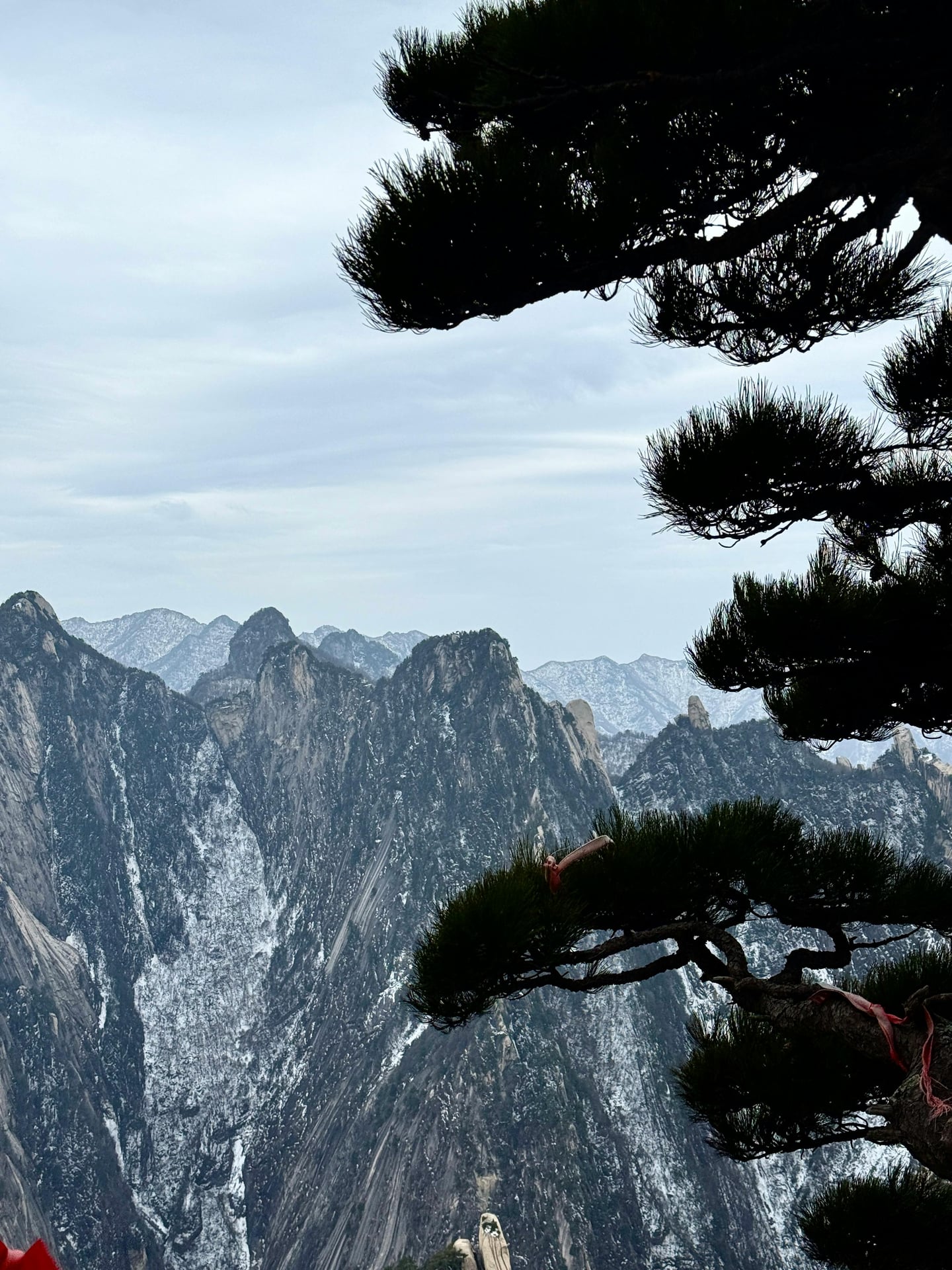 시안 화산, 소나무 가지 사이로 보이는 눈 덮인 험준한 화강암 봉우리와 겨울 산맥의 장엄한 풍경입니다.