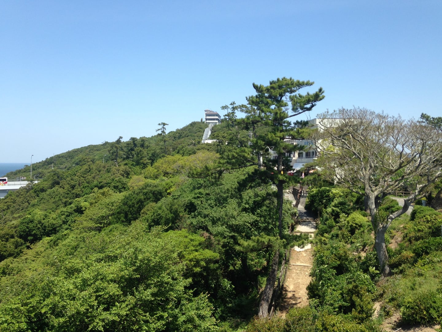 나루토 나루토 공원, 푸른 숲 사이로 솟아오른 에스카힐 나루토 전망대와 야외 에스컬레이터의 전경