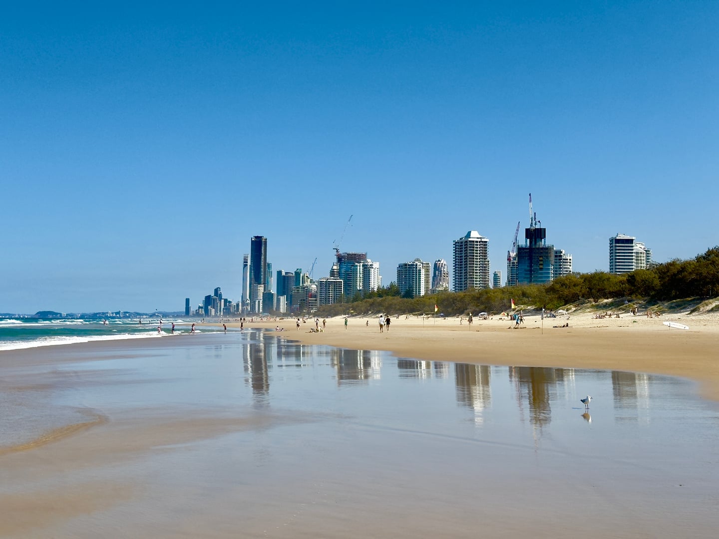 골드코스트 메인 비치, 푸른 하늘 아래 해안선을 따라 늘어선 고층 빌딩들이 젖은 모래사장에 거울처럼 반사되는 평화로운 해변 풍경입니다.