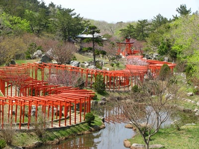 다카야마이나리 신사, 붉은 도리이 풍경
