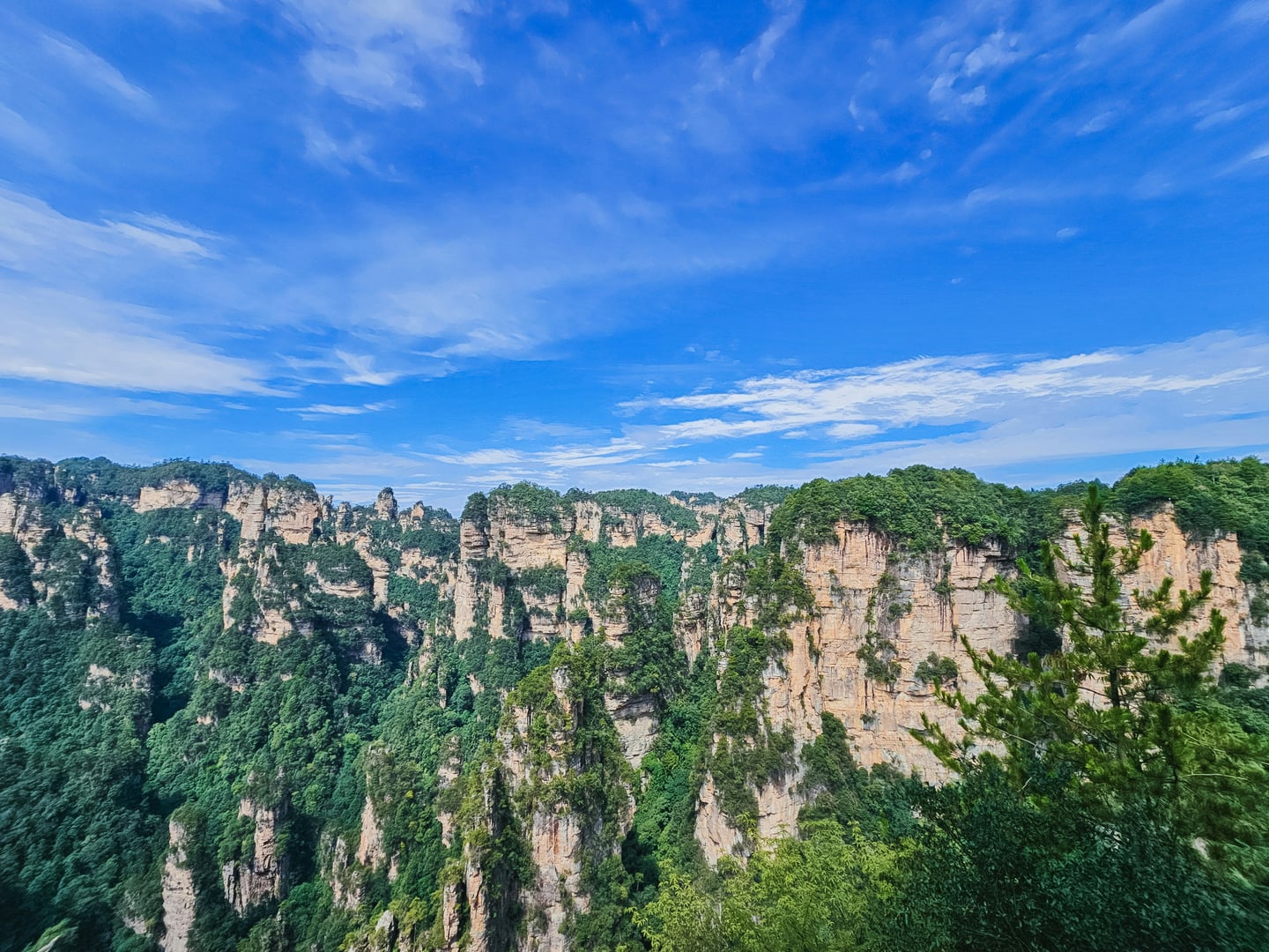 장가계 무릉원 풍경구, 맑고 푸른 하늘 아래 수직으로 솟아오른 거대한 사암 기둥과 푸른 숲이 어우러진 장엄한 자연 경관입니다.
