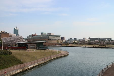 도야마 후간 운하 환수공원, 만개한 벚꽃과 운하 옆에 자리한 현대적인 디자인의 스타벅스 매장 풍경