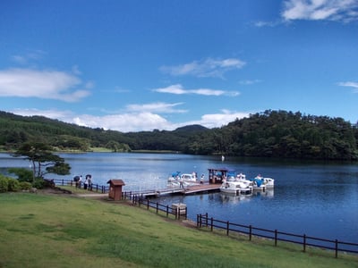 벳푸 시다카 호수, 푸른 하늘 아래 숲으로 둘러싸인 호수와 선착장에 정박한 백조 보트의 평화로운 풍경.