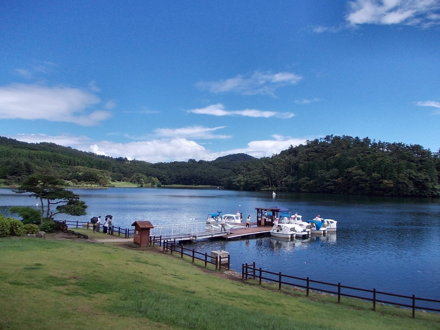 벳푸 시다카 호수, 푸른 하늘 아래 숲으로 둘러싸인 호수와 선착장에 정박한 백조 보트의 평화로운 풍경.