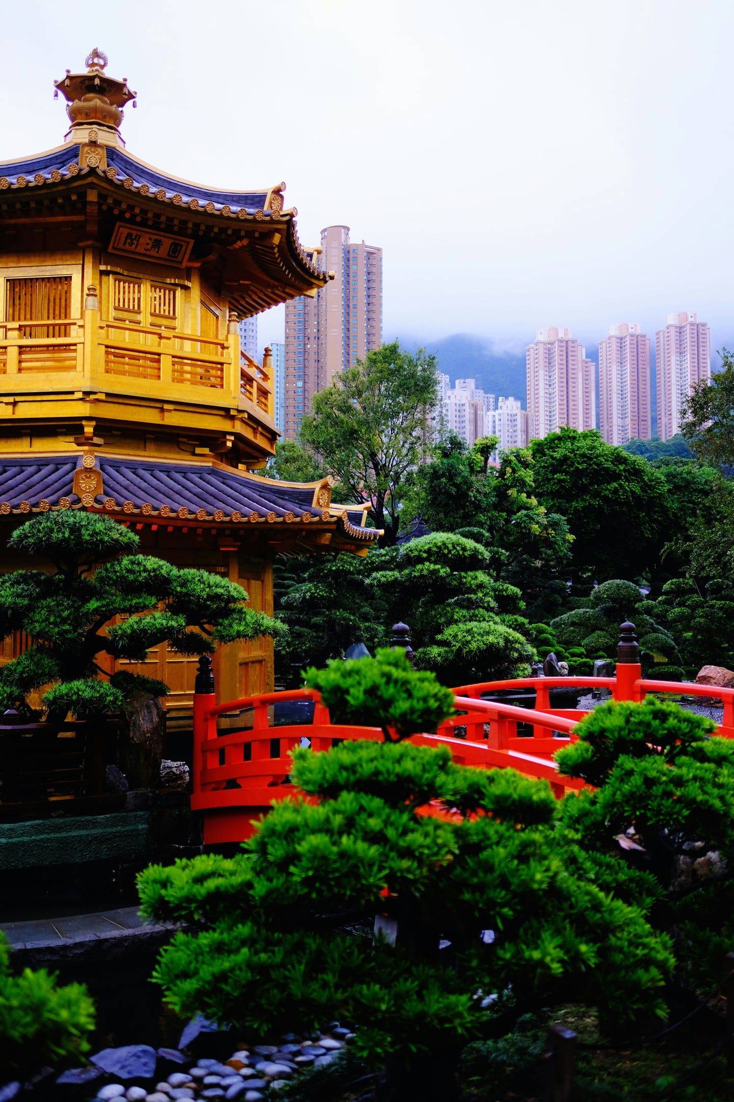 홍콩 난리안 가든, 화려한 황금빛 정자와 붉은 아치형 다리가 푸른 조경수 및 도심의 고층 빌딩과 조화를 이루는 모습입니다.