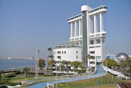 나고야 항 수족관 완벽 가이드! 범고래부터 예약 꿀팁 총정리