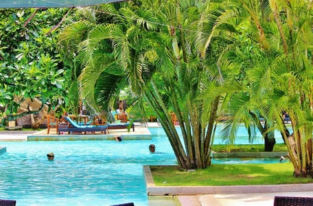발리 누사두아, 푸른 야외 수영장을 둘러싼 울창한 야자수 아래에서 여유롭게 수영과 휴식을 즐기는 리조트의 평화로운 전경입니다.