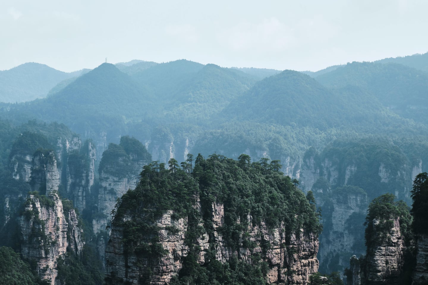 장가계 무릉원 풍경구, 깎아지른 듯한 거대한 석영 사암 기둥들과 그 정상에 뿌리 내린 푸른 소나무들이 어우러진 웅장한 자연 경관입니다.