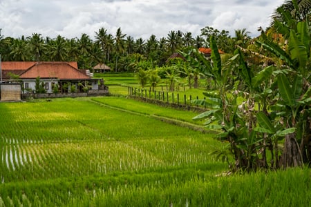 발리 여행 준비물 체크리스트, 아이와 함께 필수 7가지