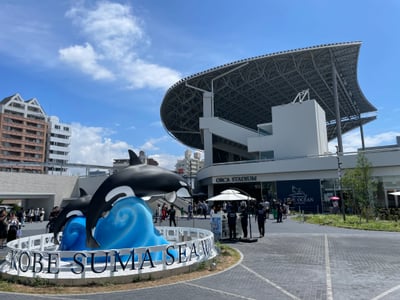 고베 스마 씨월드 총정리: 오사카 근교 완벽한 하루 코스